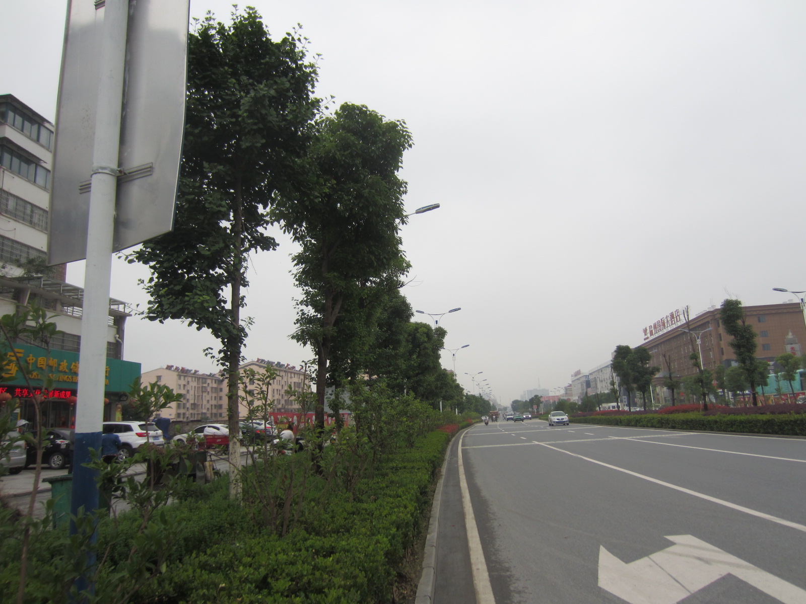 安慶市天柱山東路綠化工程　